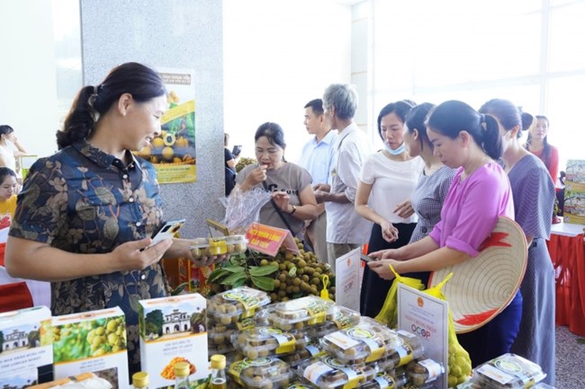 Hưng Yên: tạo điều kiện thuận lợi để nhãn lồng vươn ra thế giới (9/8/2022)